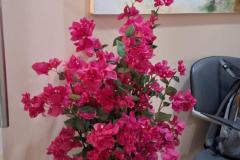 IMG-20241029-WA0014