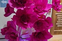 IMG-20241029-WA0018